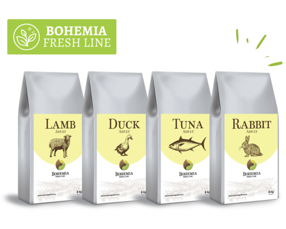 České krmivo pro psy